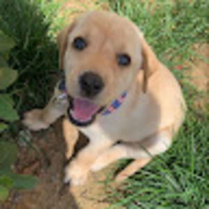 Meet your Posher, Mari